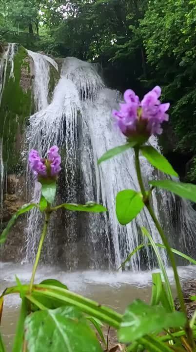 �������������� ����� �������� ����-����