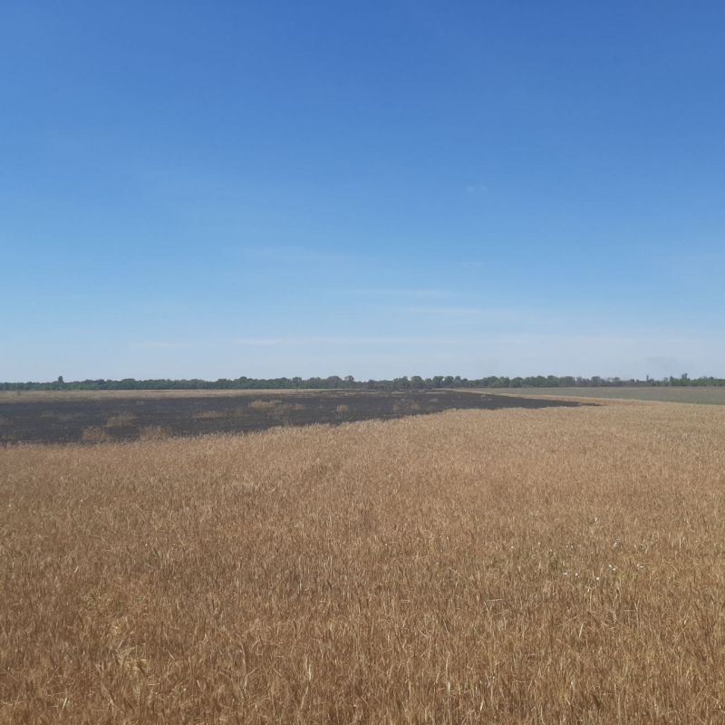 ����� ��������: �� ���������� ������� ���� ������� ������