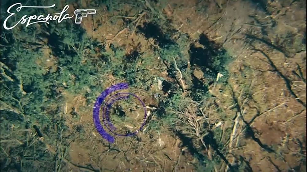 � �������� ��������� ����� ����� ����� ������