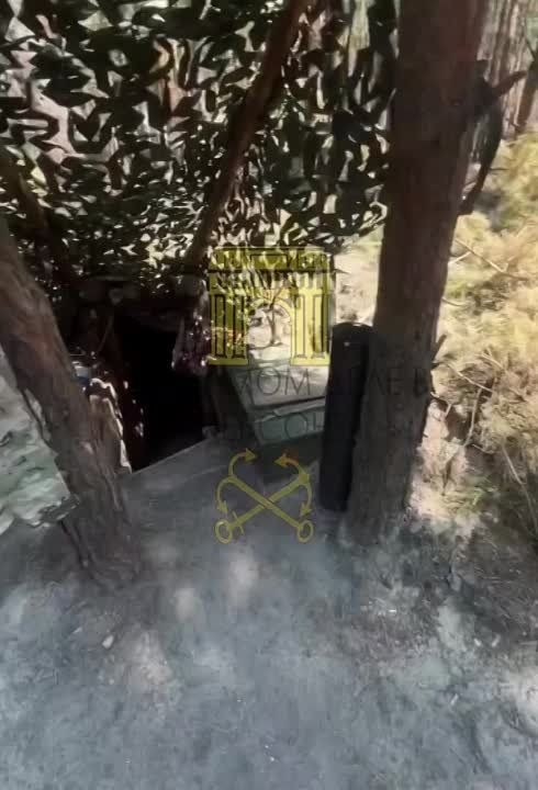 � ����� ������ ��� ������� ������ �� ������ ������