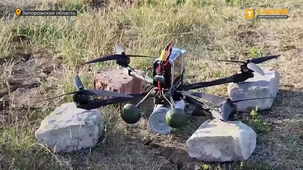 ��������� ������ ����������� ����� "�����" ���������� ������� ����� ��� �� ���������� �����������