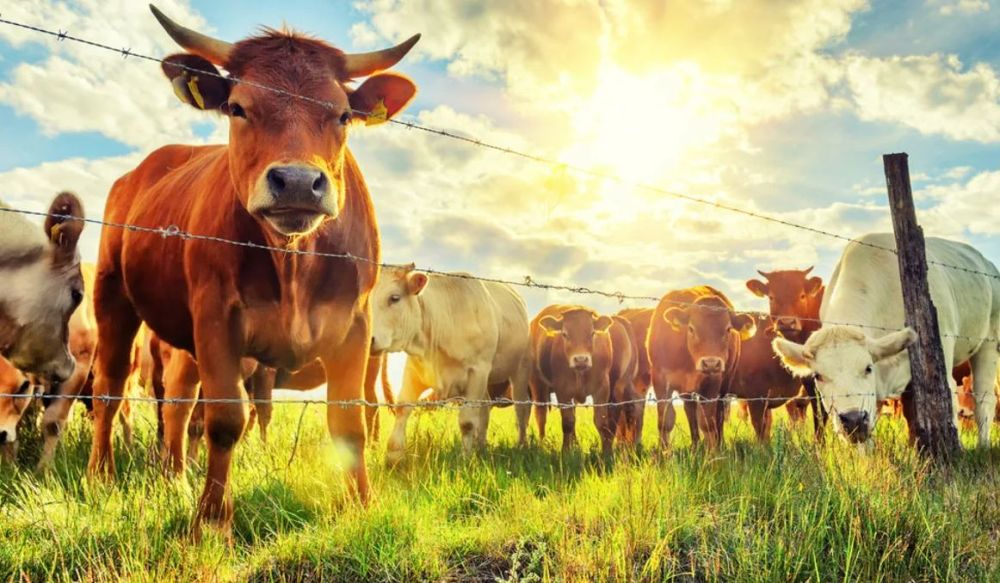 ������������ ��� ���������� ������� �������� ����� ������ �� ��������� �������� �� �������� ��������������