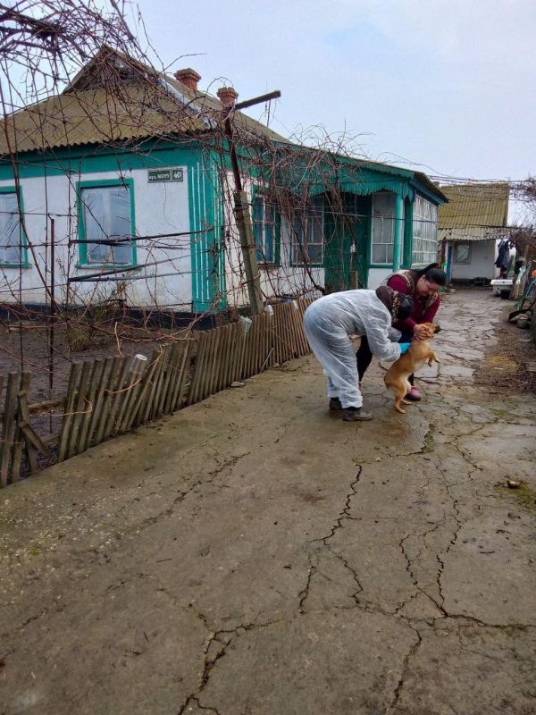 ������������ ������ ���������� ������� � �������������� ���� ���������� ��������������