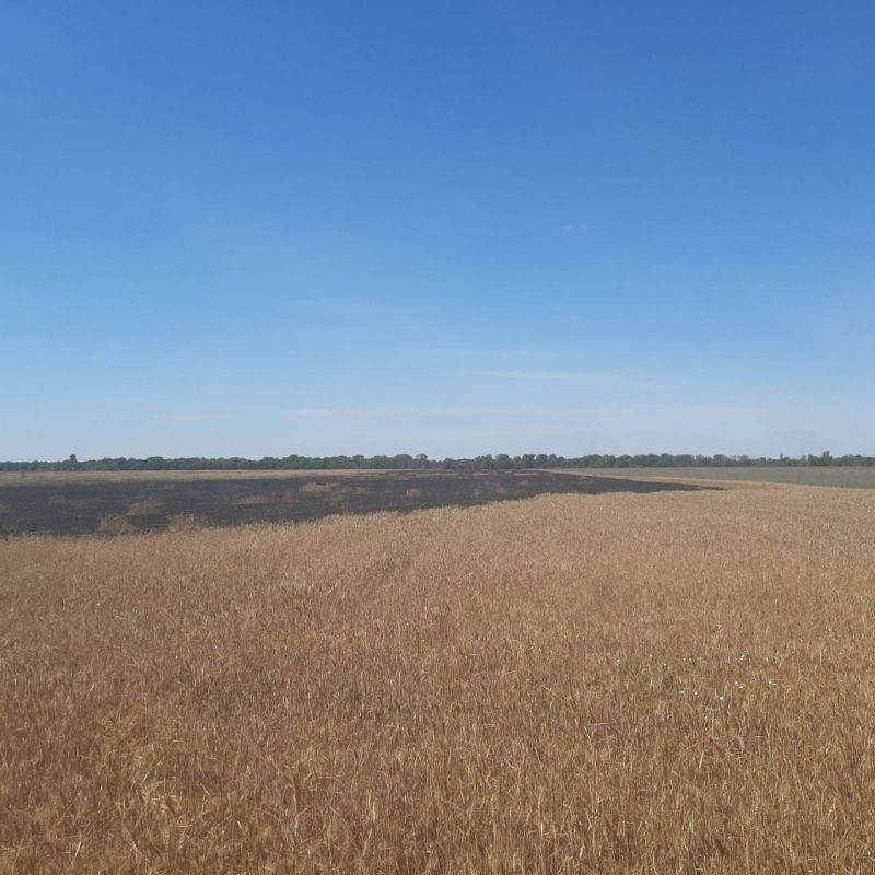 �������� ���������� �������� �������� ����� ������� ������