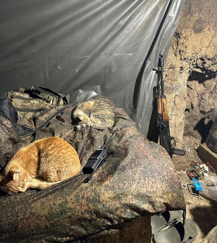 ������ ����, ������ ���� ����� ��������� ��������� �� ������