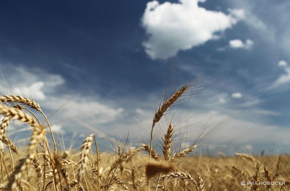 ���������� ������: ��� ��������� ������������ ���� � ��������� ������