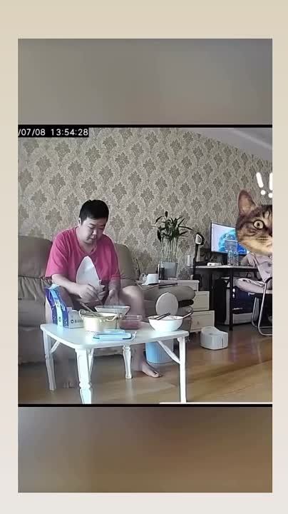 ��������� ����!. ��������-����� ���������� �������