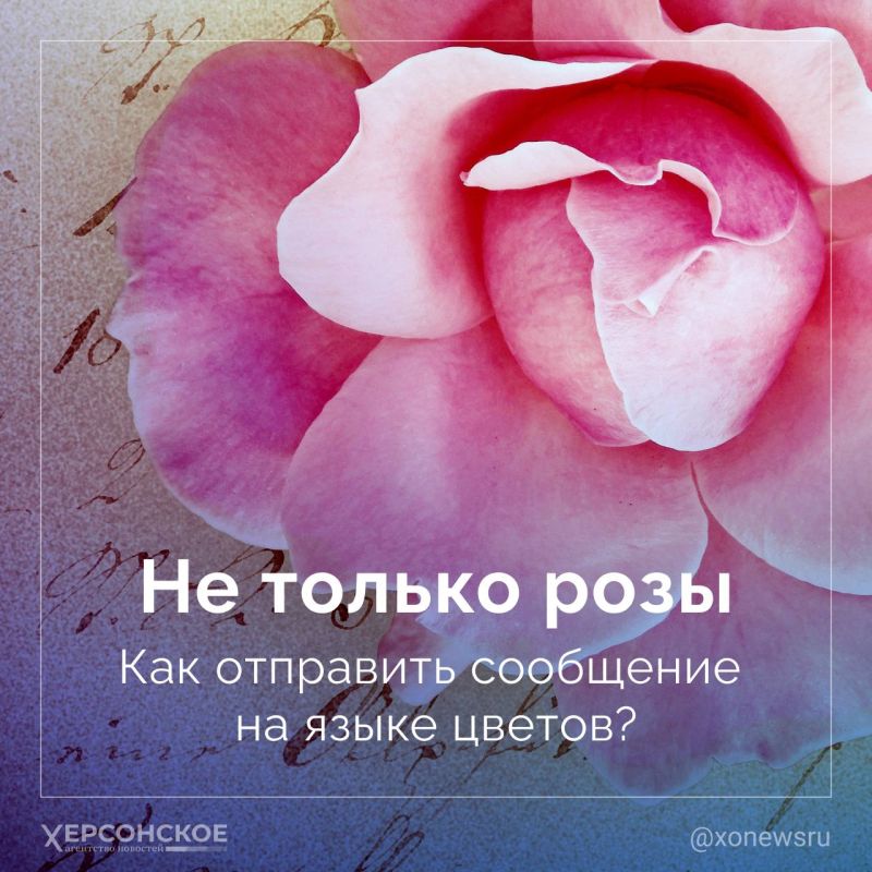 ��������� �������� � ����: ����������, ������� � ������� ������, ����������