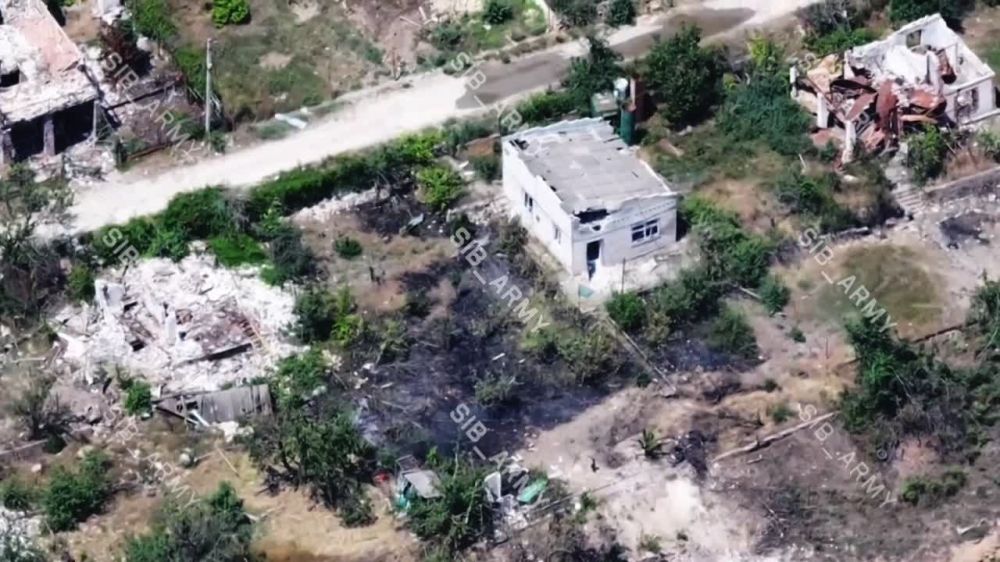 ��������� ��������� ������ ��� �������� ���, ����� �����������, �������� FPV-����� �������� ����� � �����, ������� ����� ���� ������ ������ ����������