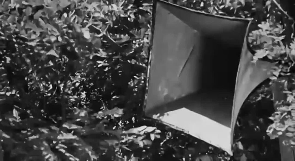 22 ���� 1941 ���� �������� ������� ������������� ����� - ����� �������� � �������������� � ������� ������������