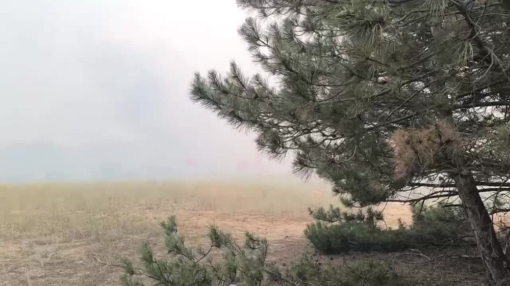 ��� ������: ���������� �����������. �� ���� ������ ���� ����� �������� ����. � ����� ����� ������ ��� ��-�����. ������ �����, ��������, �������, �������������. ��� � �������, ������� ����� ������. �� ������ ����������� �� - ���������