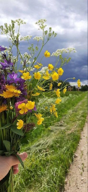 � ������ �����, �����������!