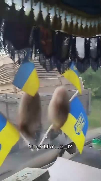 �������� ��� � �������