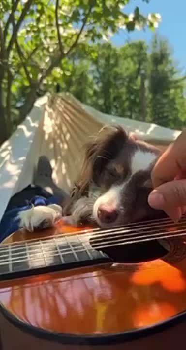 ���������� ���� ��������!