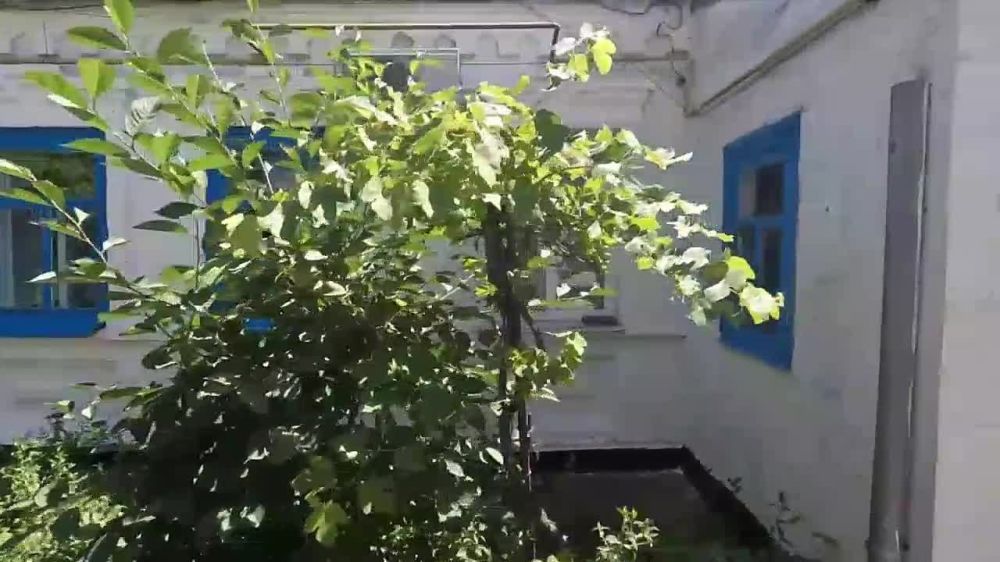 ������� �� ������ �������� ������������ ������ ��������� � ���������� ������� ������������� �����