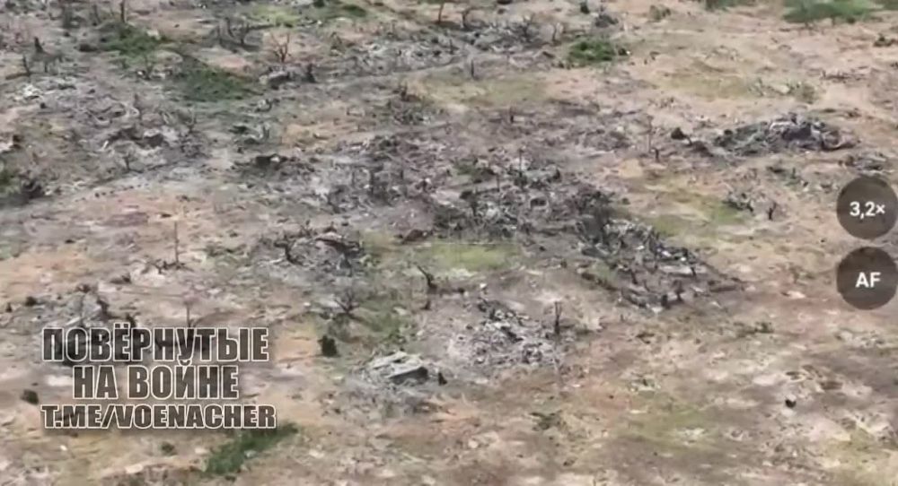 ���� ���, ��� �� ��� �����������: ������ � ������� ���, ��� � ����� ������