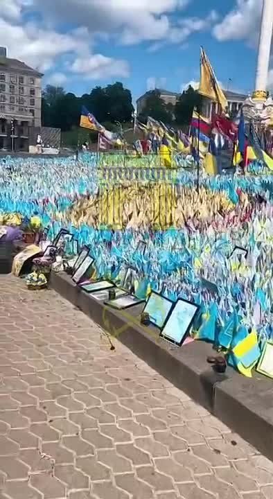 ������� � ���� ���. �����������. ���� ��������� ������ � ���� ���� ��������