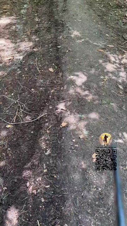 ���������� ������� ������������� ����� �������� ����-���������