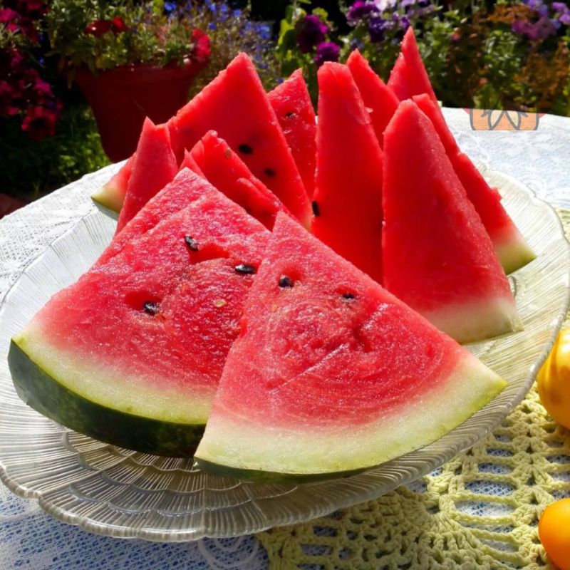 ������ ������. ����� ������������ ���������� ������� � ������������ �� �����, ������� ������� ����������� � ������������� ������������ ������