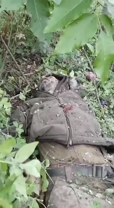 ��������� ������� �����, ������ ������ ������� �� ����� �� �����������