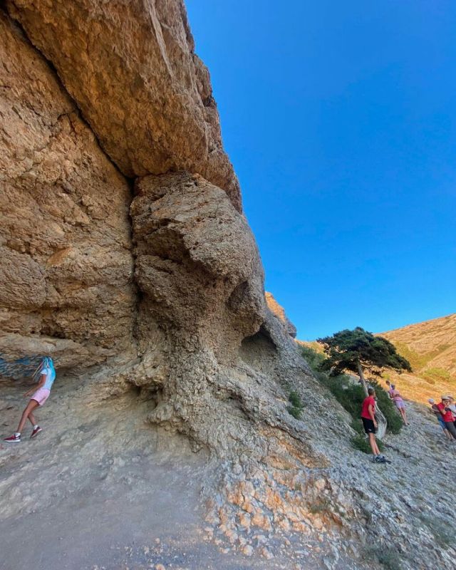 ���� ������ ���� ����������� �� ���� ����� �� ����� ������� ������