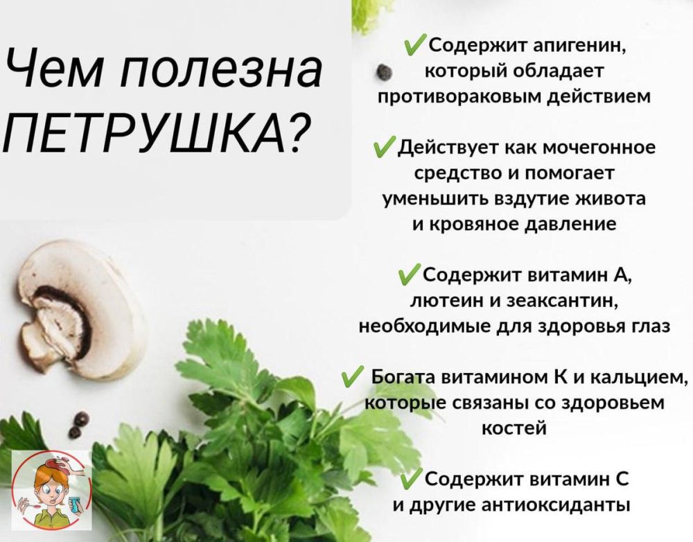 ����� �������� ������. ����� ������ �������� ������ ���������� ������� ��������� � ������ �������. �� ���� ��� ������� �������, ������� �������� �������� ��������� ���������