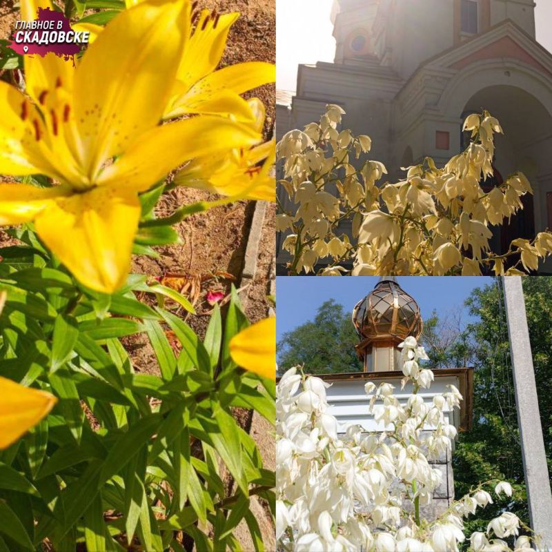 � ������������� ����� ������� ������������ �������� � ���� ������ ������