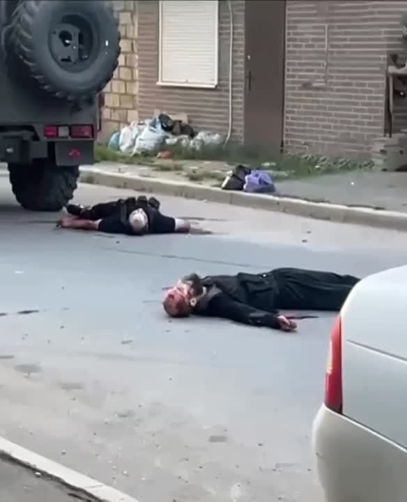 ���� ����������� � ��������� �������������, ��������������� ������������