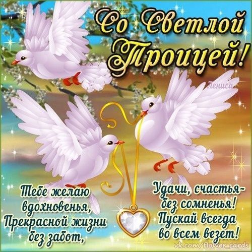 ����������� ���� ������������ �������� � ���������� ������� ������!