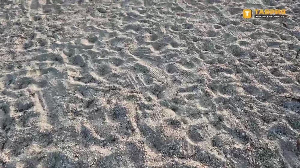 ��������� ���������� ������� ������� ������ ��� �������� � ������� ����������� ����