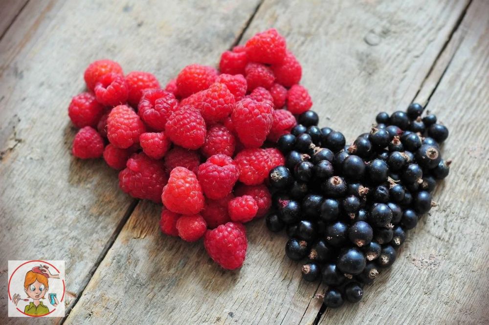 ����� �������� ��� �������� �����