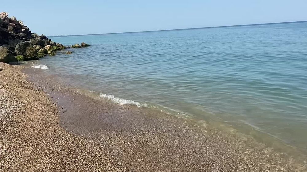 ������, ���� ������ �� �����! �������, ������� ׸����� ���� ��� � �����!