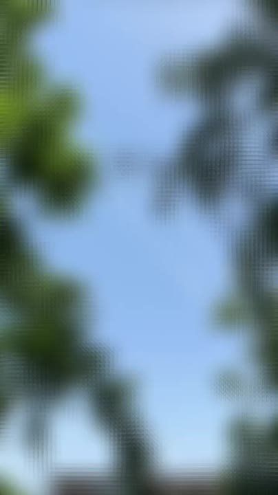 �� ��������������� ���������� �� ����������� ����� ��� �� ����������� ������� 2 ������ ������, ���� �� ��� 2-� ������ �������, 14 ������� ����������