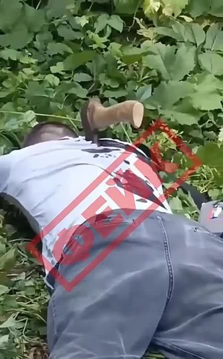 �������� �� ��λ: � ��� ������� �����, ������ ����� �������� ������ � ���� � ����� � ������� �� �� ������ ���������� ������