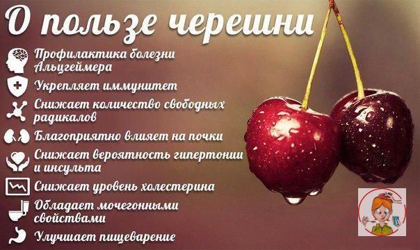 ������� � ����� ������� � ��������