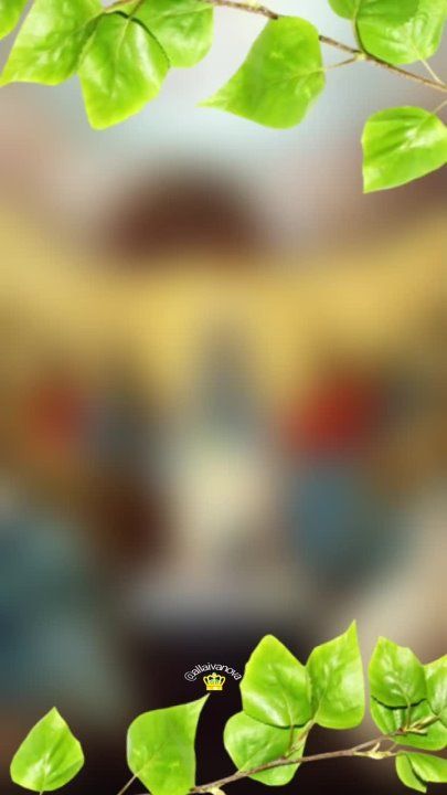 ��������� 24 ����. ����� ���� (���� ������� ����)