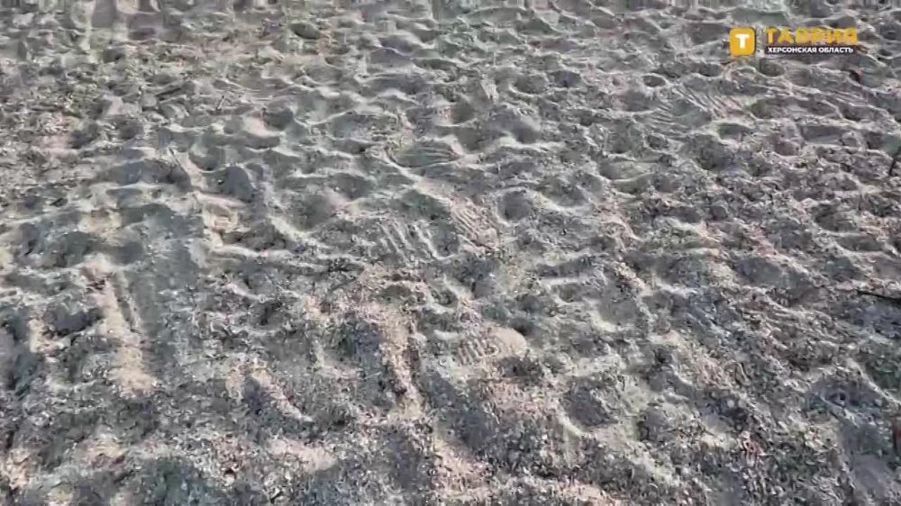 ��������� ���������� ������� ������� ������ ��� �������� � ������� ����������� ����