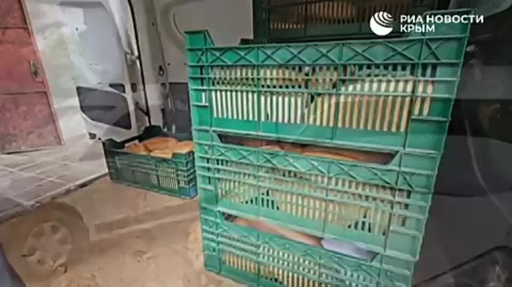 ��������� �� ������ ���� ���������� �������� � ���������