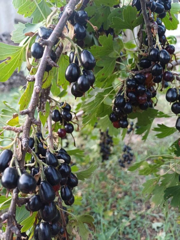 ����� ��������: ��������, ��� ������ ��������� ������ � ����� � ������������ � ���� ��������!