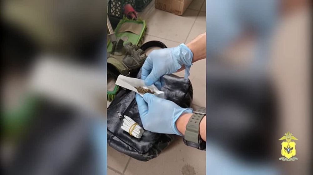 � ����������� ������ ����������� �������� ���������� ���� ������������� �������