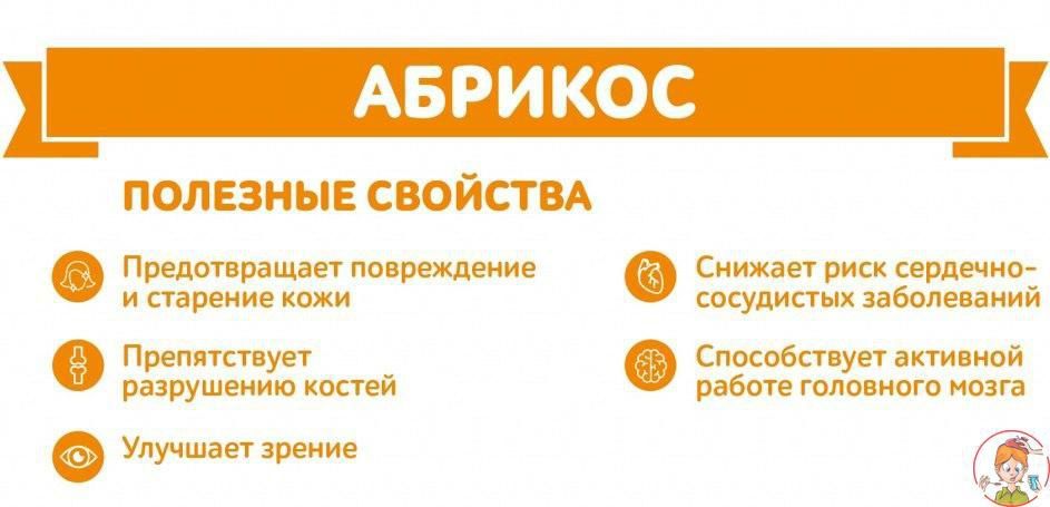 �������� ������������ ��������� � �������� ���� ����