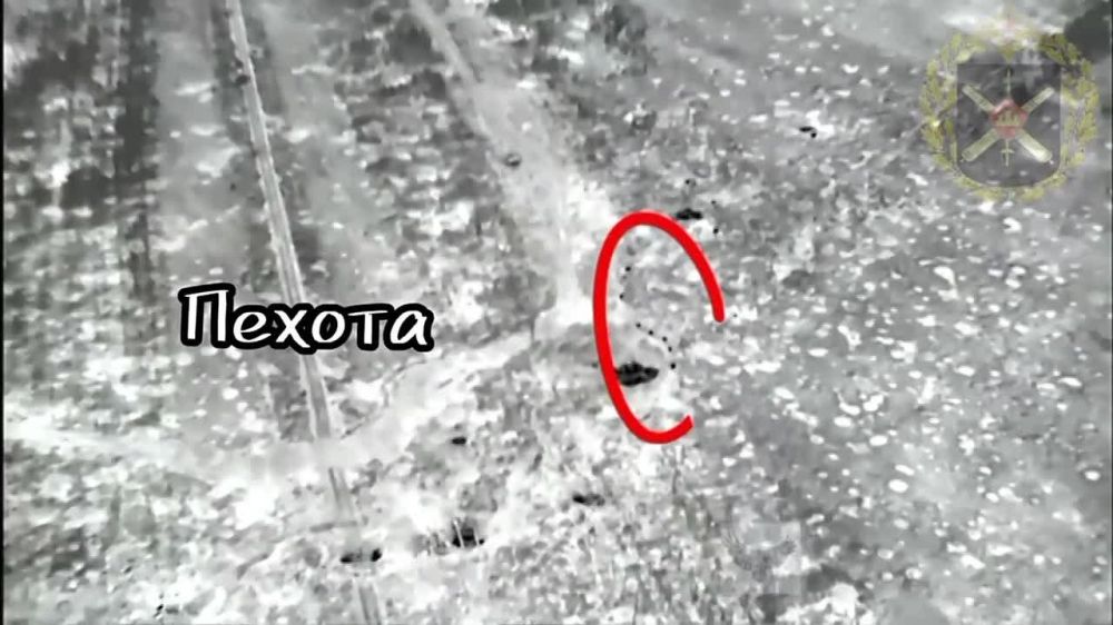 ������ �������� ������ ������ �� ���������