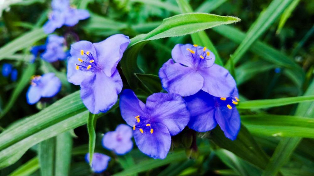 � ������ �����, �����������!