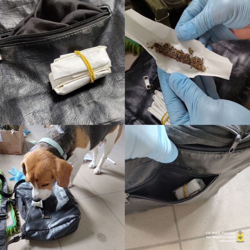 � ���������� ������� ����������� ���������� � �������� ������ ������������ ���������