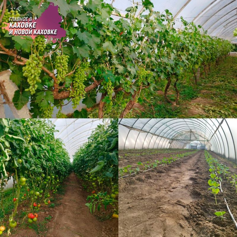 � ���� ���� ���������� ������� ������� ������� ������