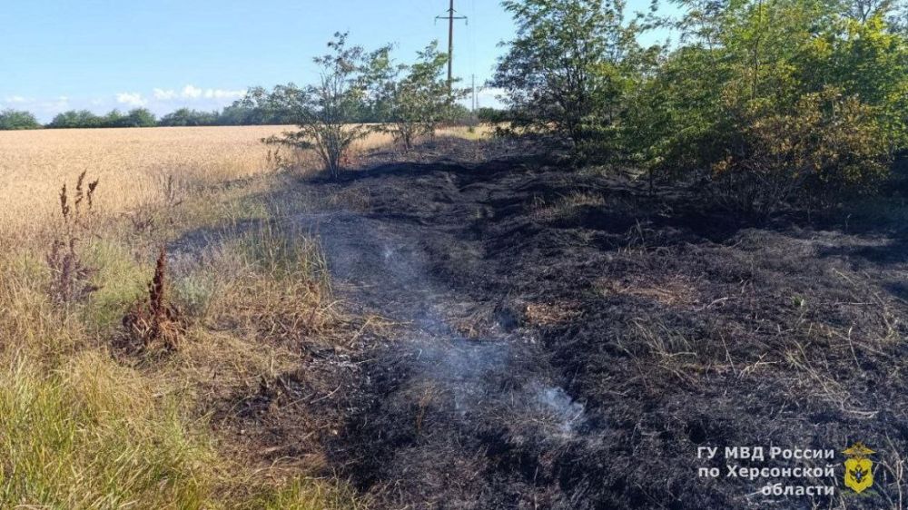 � ���������� ������� �������������� ������������� ���������� ���������� ����