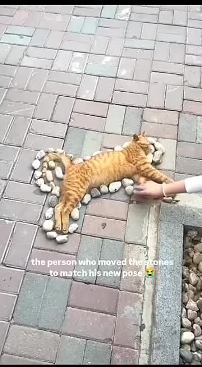 ������� � ����� ����, ���� ������ "�����"