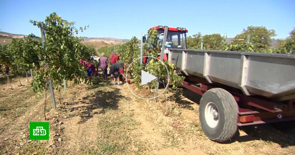 ����� ���������� ��������� ������ � �������������� ����