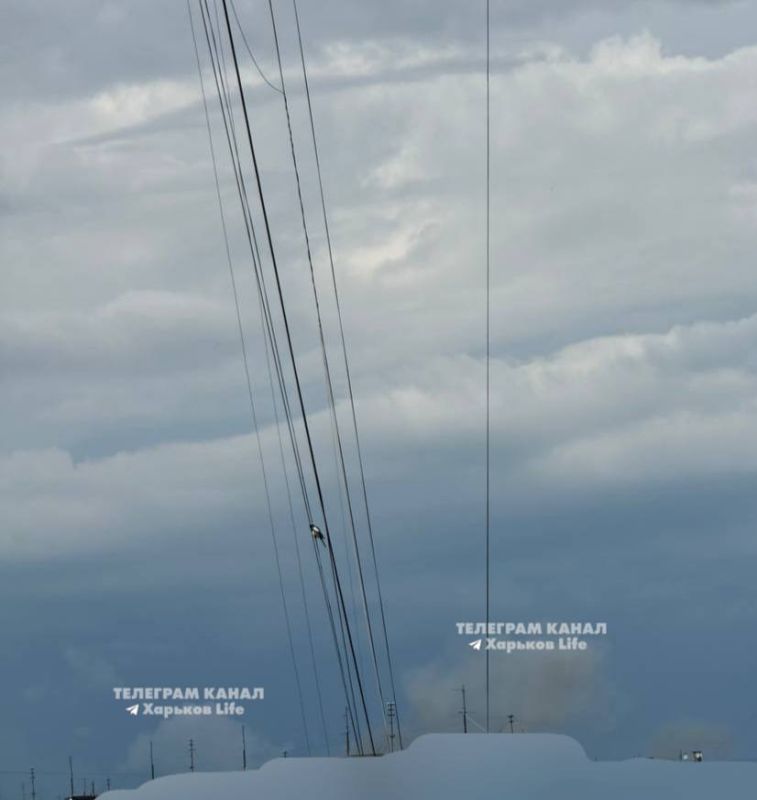 � �������� �����. ���� ���������, ���� �� ������ �������