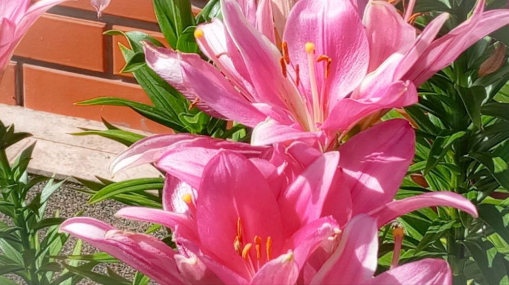 � ������ �����, �����������!